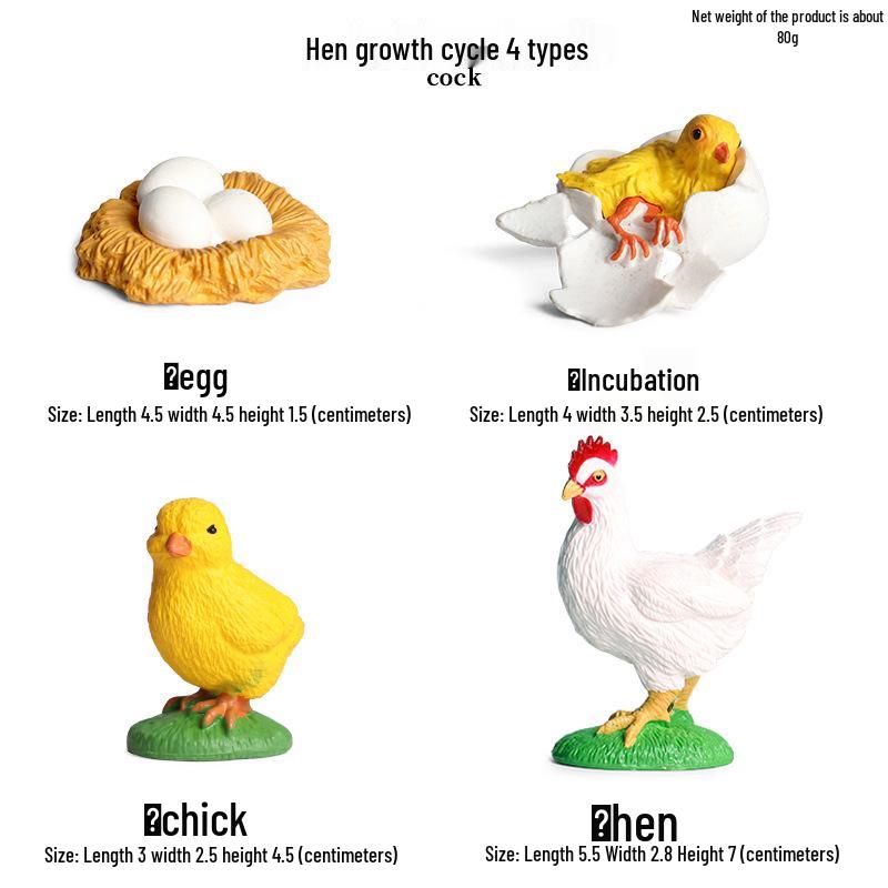 Children s Insect Growth Cycle Toys: Ladybug & Spider Model for Cognitive Development