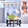 Jialei Dezhu Transparent Round Glass Fish Tank & Turtle Aquarium for Desktop Living Room