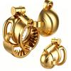 BDSM Constraining Toys Adjustable and Detachable Chastity Cage Anti-erection Spiky Device Male Chastity Device Cock Cage Sex Toy