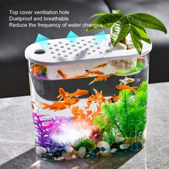Elegante ciotola per pesci da tavolo con fori e coperchio, coltura idroponica, perfetta per la casa o l'ufficio.