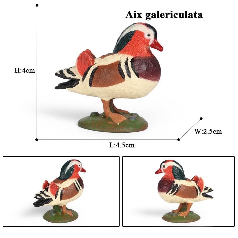 Oenux Forest Bird Animals Wild Ostrich Magpie Owl Crow Flamingos Figurines Action Figure PVC Garden Decoration Miniature Kid Toy