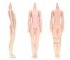Obitsu Doll 24cm Obitsu Bust New Natural 24BD-F02N-L Body, L,