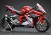 PinkFactory Kennzeichenhalter-Kit für 2017-2025 CBR250RR (MC51/2BK-MC51/8BK-MC51) Direkt ab Werk