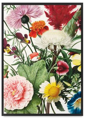 Pôster flores silvestres decorações de parede