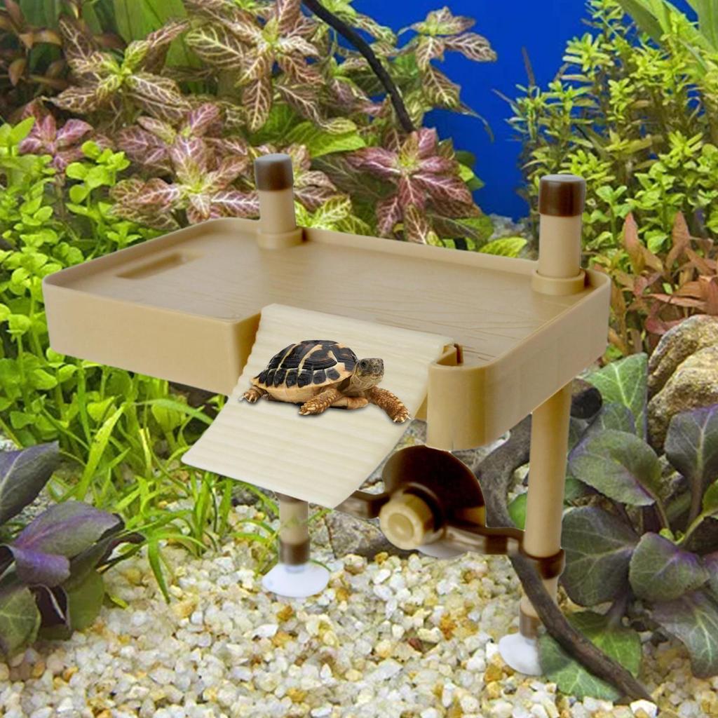 Large Turtle Basking Platform Floating Island W/ Suction Cup Ladder Tortoise Habitat Resting Terrace