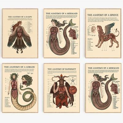 Vintage The Anatomy Of Mermaid Harpy Gorgon Poster Print Mysterious Creature Canvas Painting Wall Art Room Home Decor Cuadros