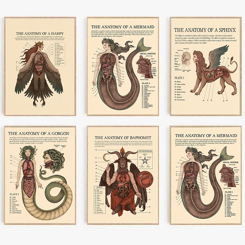 Vintage The Anatomy Of Mermaid Harpy Gorgon Poster Print Mysterious Creature Canvas Painting Wall Art Room Home Decor Cuadros