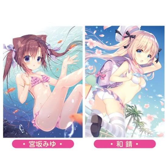 Art Book: Eternal Summer Swimsuit Island