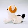 Sunlemon Kitten Mike 16.8 X 14.1 X 7.2 Cm Stuffed Animal Cat P-7571