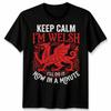 Keep Calm I Am Welsh Funny Dragon TTshirt Wales Saint Davids Day Apparel