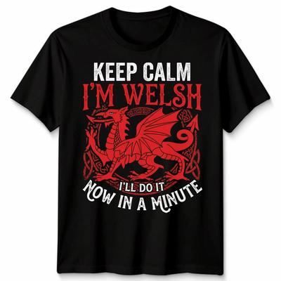 Bleib ruhig, ich bin Waliser Lustiges Drachen-T-Shirt Wales St. David's Day Kleidung