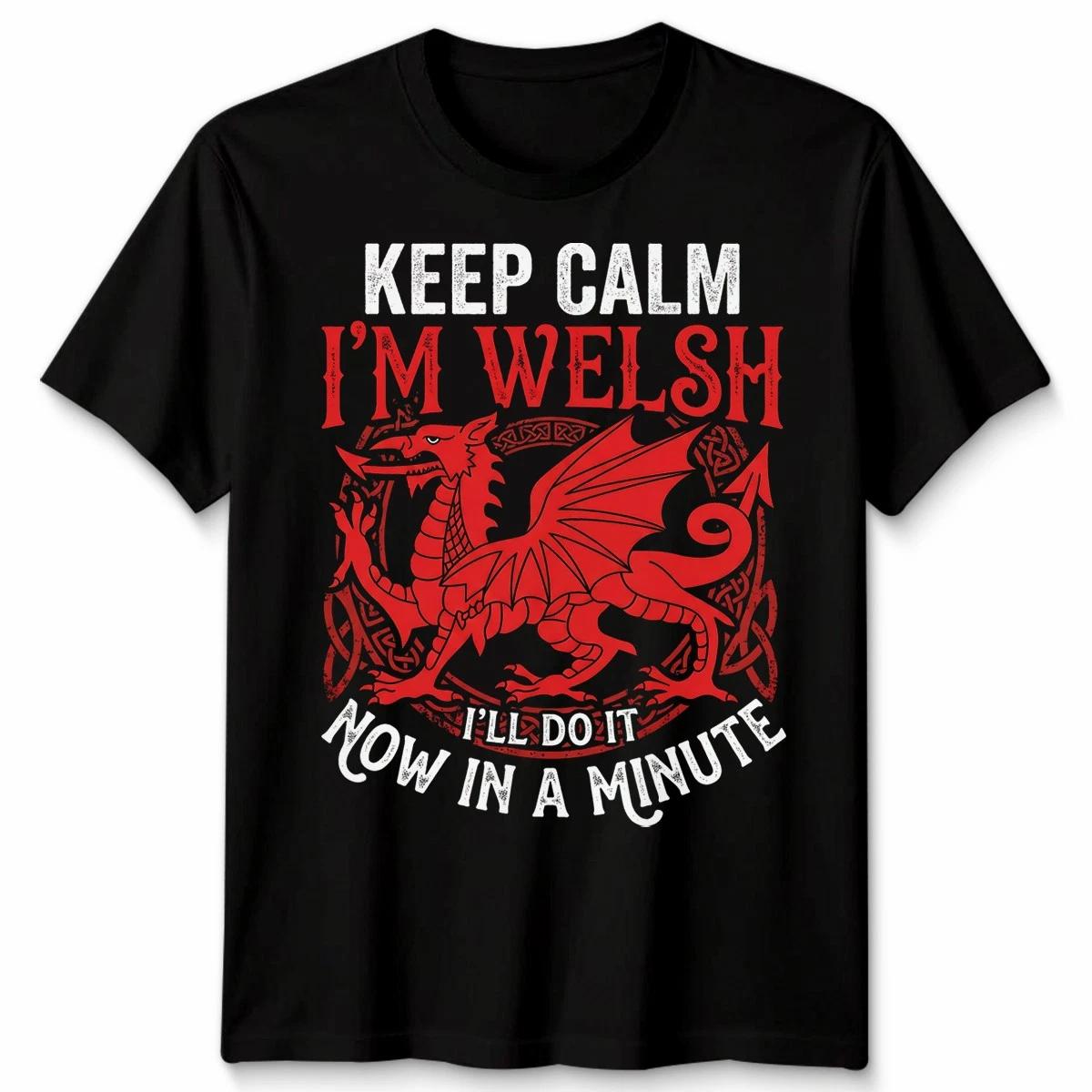Keep Calm I Am Welsh Funny Dragon TTshirt Wales Saint Davids Day Apparel 4XL
