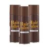 iMedia Hair Follow Brown 150g X 3 Bottles Hairspray Gray Hair Cover Gray Hair Cover Thinning Hair Cover Thinning Hair Prevention Styling Agent A-03