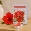 Scented Tea Light Candles, Hibiscus and White Sage
