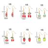Summer Cherry Fruit Strawberry Series Personalized Alloy Drip Earrings Earrings Women