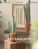 Three-Stem Artificial Cereus Bonsai for Indoor Decor