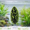 Pești și animale marine – Decorul acvariului