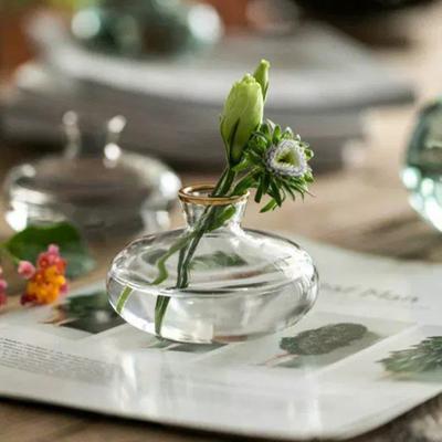 Transparent Glass Vase Avocado Seed Starters Vase Seed Growing Kit Avocado Vase For Growing Gift For Gardening Lovers Home Decor