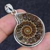 Ammonite Fossil Gemstone Handmade 925 Sterling Silver Jewelry Pendant 1.97" Z1w59