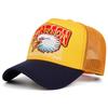 2025 Creative New Webhat SKYRIDER Airplane Street Dance Skateboarding Hip Hop Hat Truck Hat Outdoor Sports Sunshade Baseball Hat