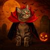 Adjustable Halloween Pet Costume Bat Transformation Small Dog Knight Cape Cat Cosplay Cloak  Party