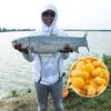 King de Pesca Milho Doce Fermentado Isca de Peixe