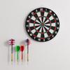 Dual-Sided Dartboard Set for Home Fitness and Competition – Suitable for Adults and Kids