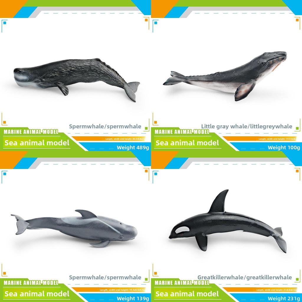 Kinder Meeresbewohner PVC Modellset mit realistischen Wal- und Delfinfiguren für pädagogisches Spiel