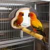 Parrot Perch Exercise Toys With Puppy Ear Mirror Parrot Perch Stand For Play Area Boredom Prevention Mental Stimulation