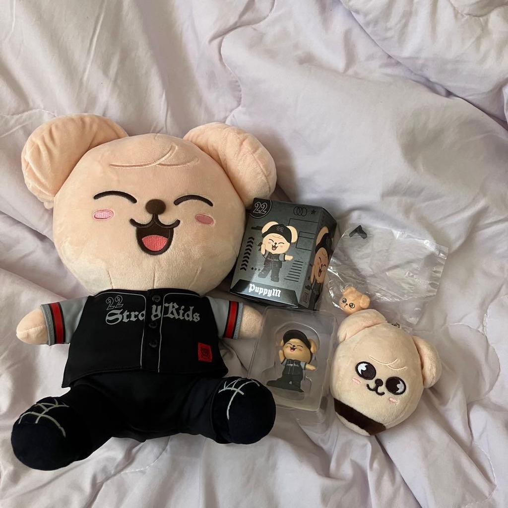 [USED] Straykids Seungmin Skzoo Papim Ecopa Post-sale