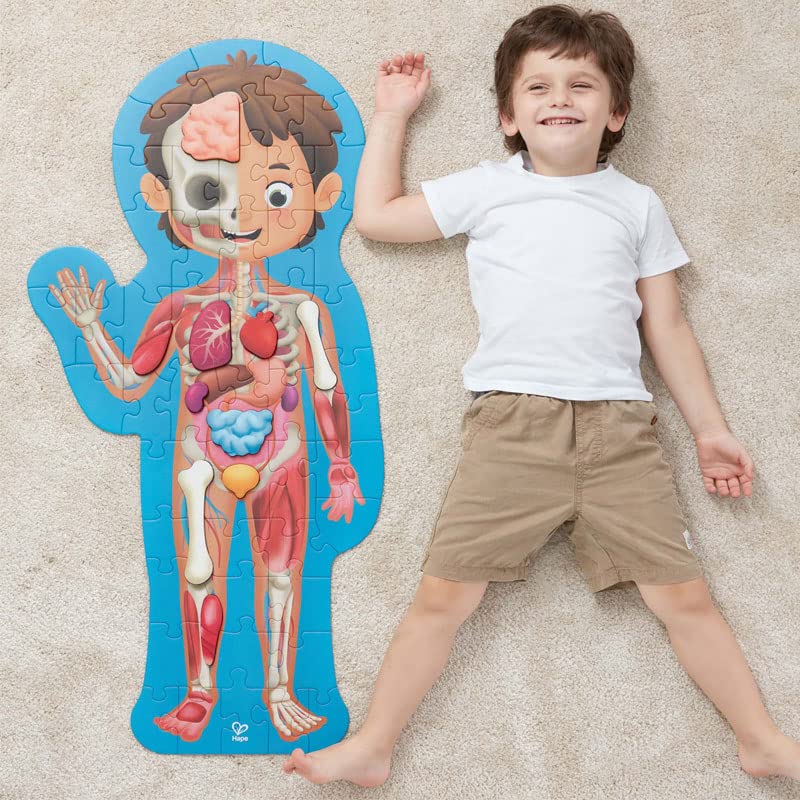 Hape Body Structure Puzzle 100 x 50 x Ages Wooden Play Toy E1635 2.3cm 3+
