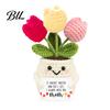 Never Fading Flower Positive Crochet Tulip Wildflower Thank You Gifts for Women Mom Friends Handmade Floral Keepsake Potted Doll with Card Emotional