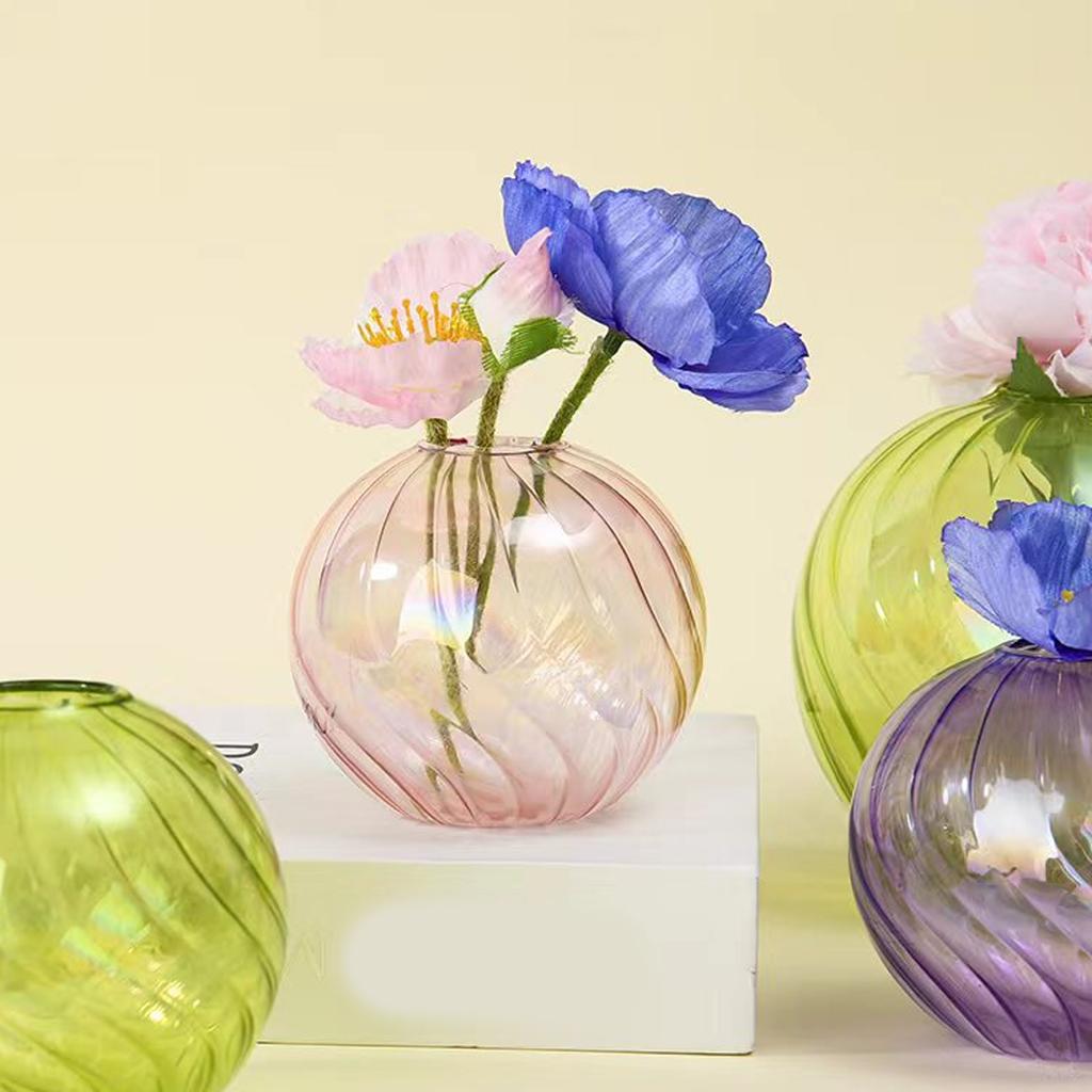 Multipurpose Clear Glass Ball Vases Small Hydroponic Pot Planter for Unique Terrariums Jar and Propagation Stations Display