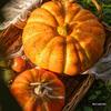 Artificial Pumpkin Ornaments: Farmhouse Harvest Festival Decor for Home & Supermarket