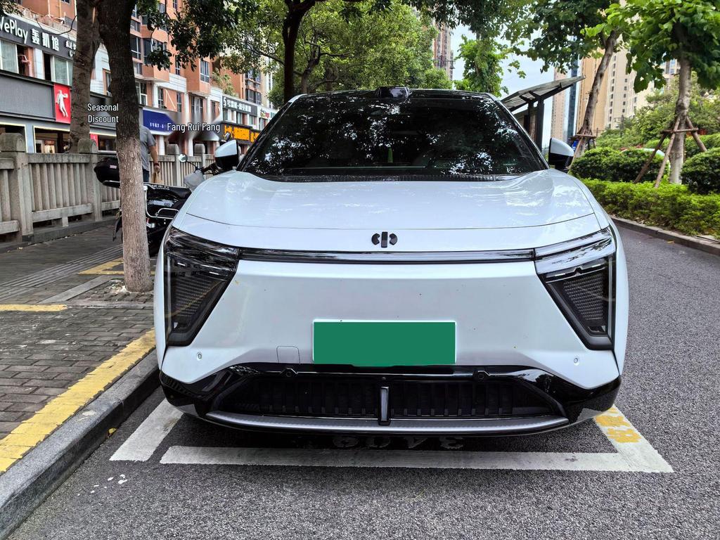 HiPhi Y Insect-Proof Mesh Grille Dust Cover