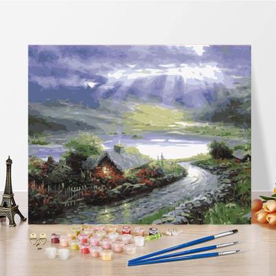 Art Home Decoration Digital Oil Painting DIY Painting By Numbers Numbers Oil Painting Canvas