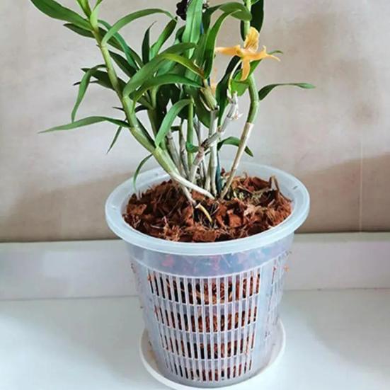 Orchid Flower Pot Clear Orchid Pot with Drainage Holes Raised Bottom Breathable Slotted Plant Pot
