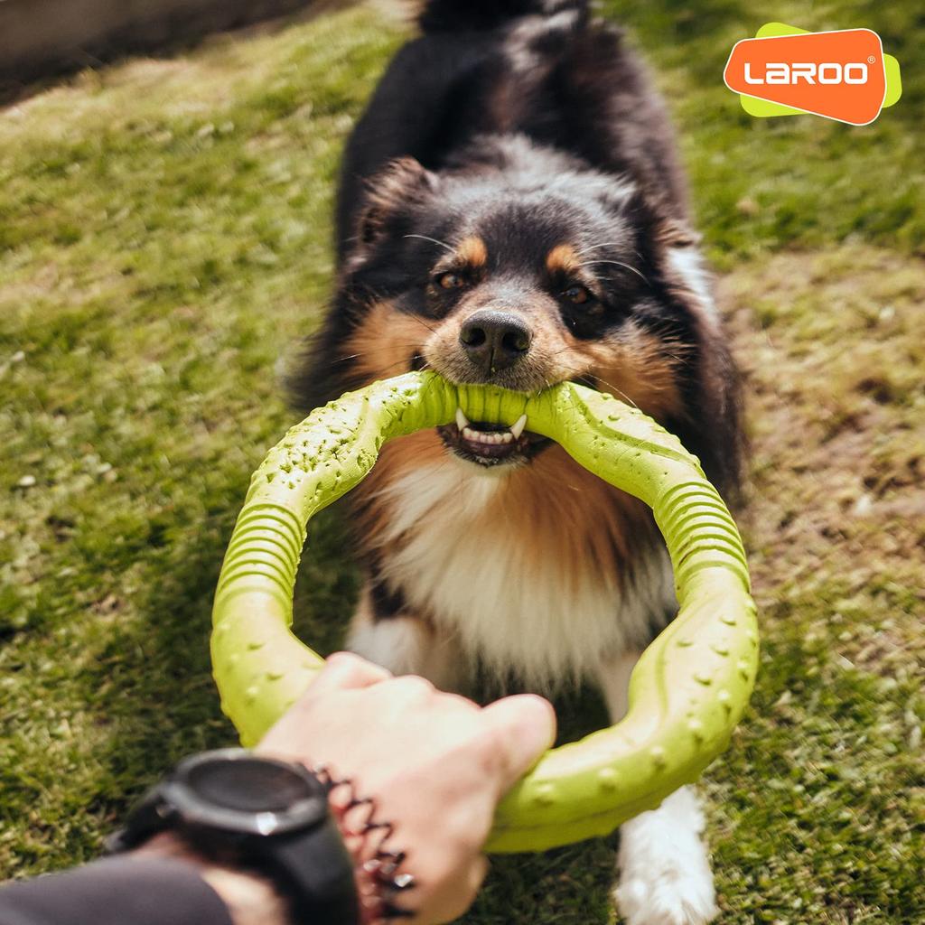 LaRoo Dog Dental Hračky pro velké psy Kulatý frisbee Odbourávání stresu pro psy Inteligence domácích mazlíčků Plovoucí tréninková hračka, Odolná, Trénink, Hračka. (30CM zelená)