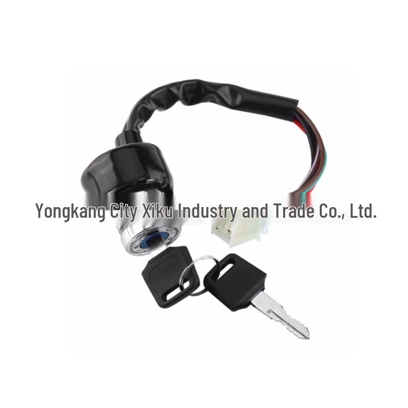 9-Hole 6-Wire ATV Buggy Ignition Switch & Door Lock Key