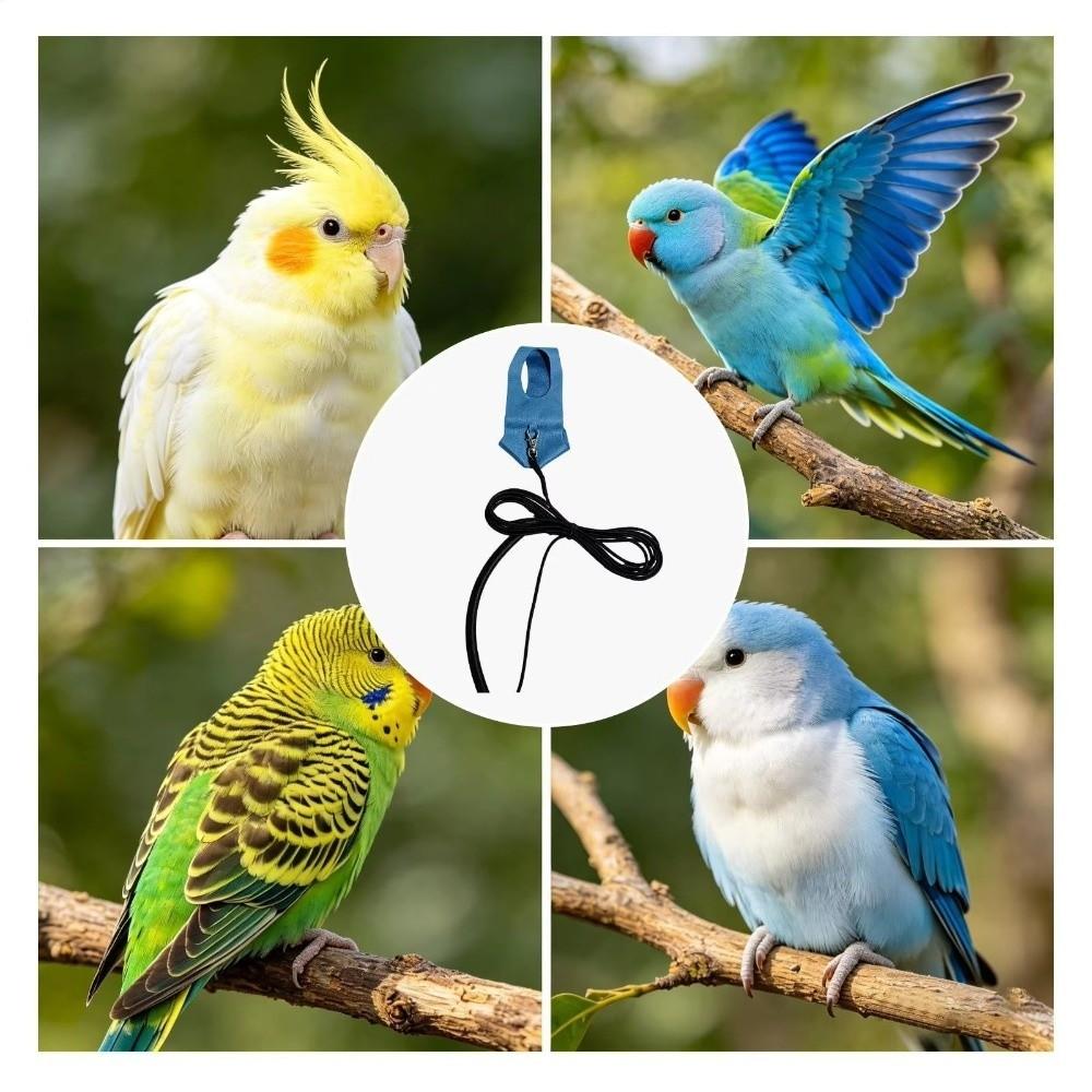 Parakeet Size Bird Leash Rope Material Traction Straps Portable Bird Harness  Outdoor Walking