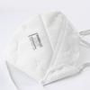 Shigematsu Seisakusyo Disposable N95 Mask Bifold Made In Japan White DD02-N95-2K (10 Pieces)