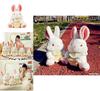 Adorable Bunny Fairy Plush Doll For Girls Soft And Cuddly Stuffed Toy Ideal Birthday Gift