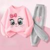 Long Sleeved Hoodies Sets for Girls Spring New Style Pullover Long Pant Two Piece Suit Children's Casual Outfits Kids Tracksuit