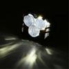 Auto Lighting Systems LED Work Light with Spot Beam