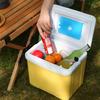 15L/6L Multipurpose Camping Cooler Box Insulated Ice Chest Portable Ice Bucket Hard Box for Outdoor Camping Beach Picnic