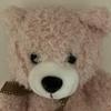 [USED] Pink Teddy Bear