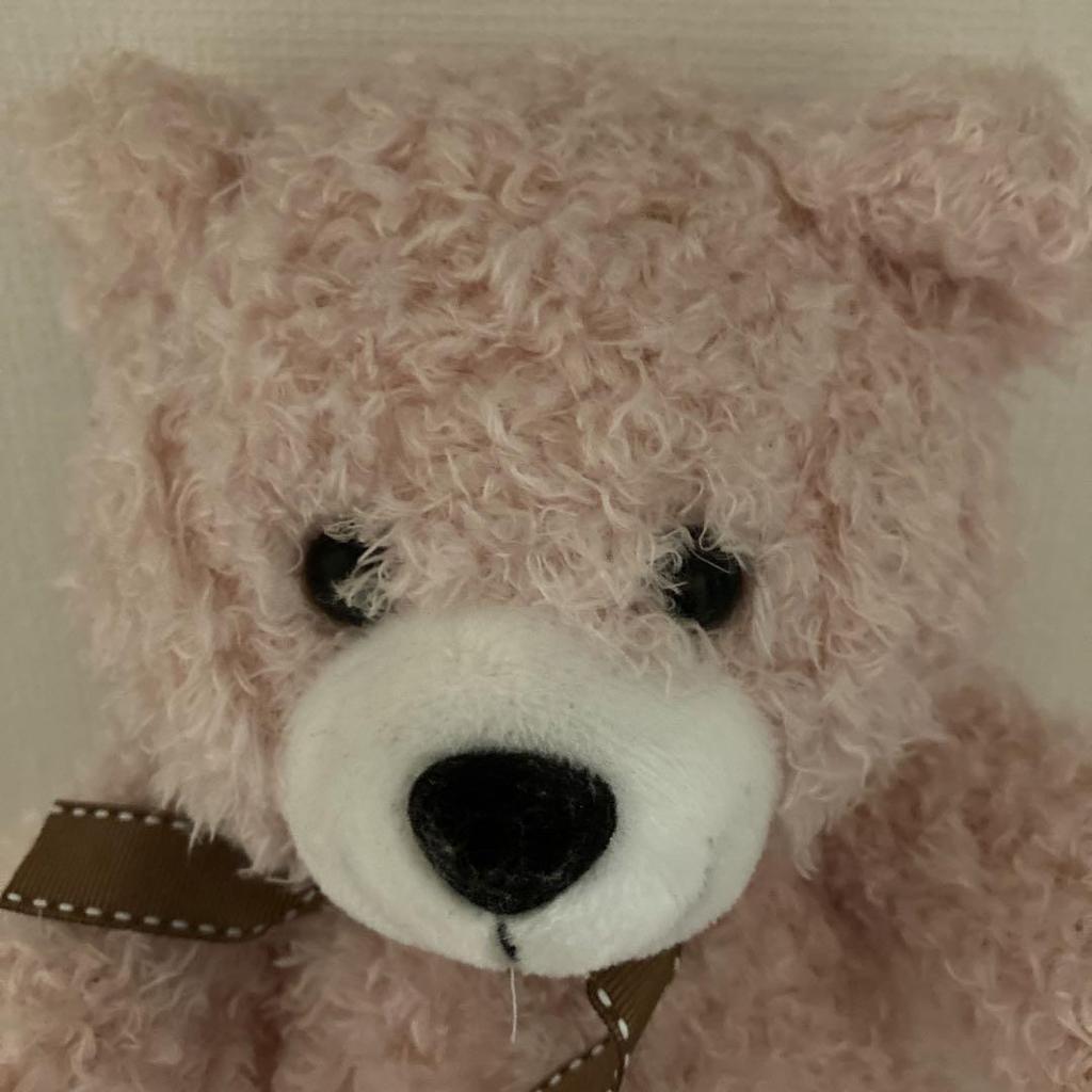 [USED] Pink Teddy Bear