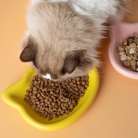 4Pcs Cat Bowl Plastic Anti-Tipping Feeding Bowl Weighted Structure Feeding and Drinking Bowl Spill Proof Pet Bowl for Cats and Dogs Durable Pet Food
