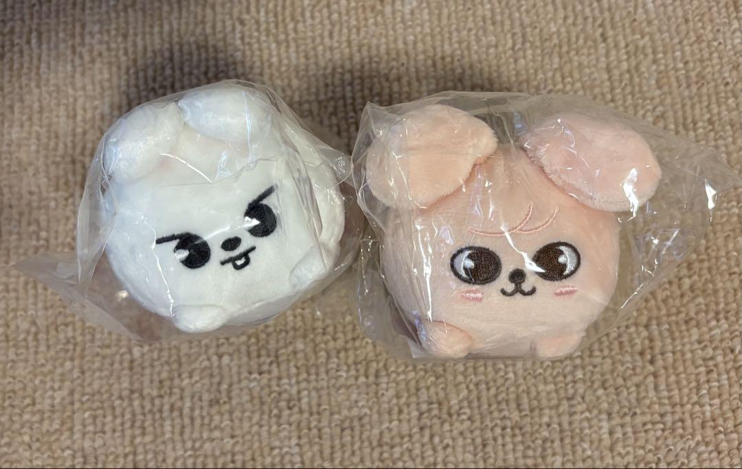 

[USED] straykids skzoo Leavitt Papim bag charm