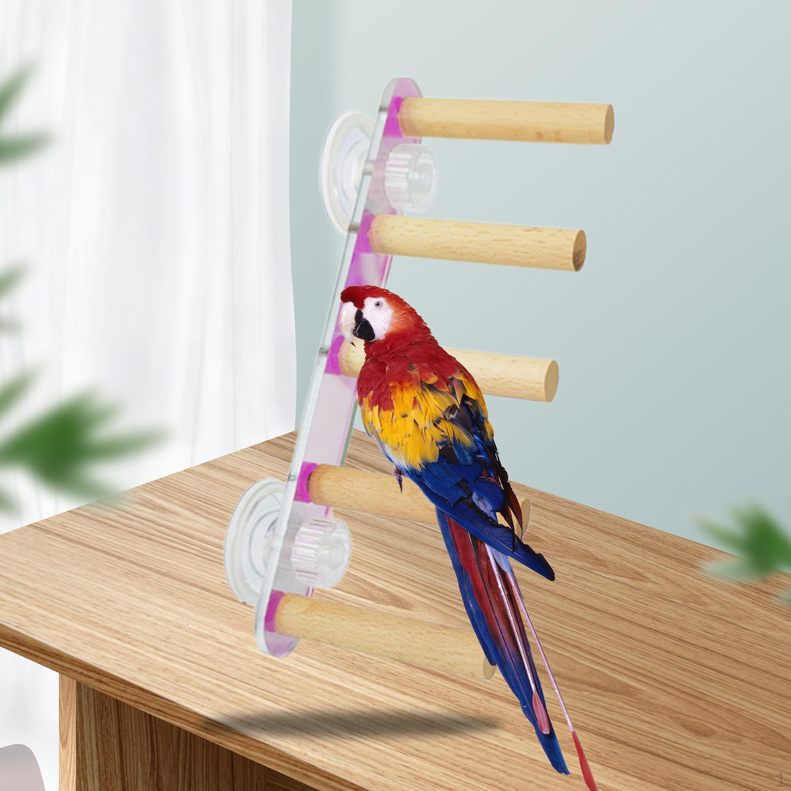 

Игрушечная лестница из деревянного окуня на присоске, подставка для отдыха для птиц, попугаев, колибри